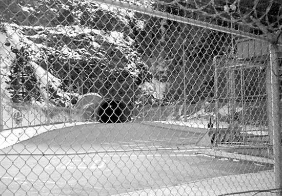 noradentrance4-3639354